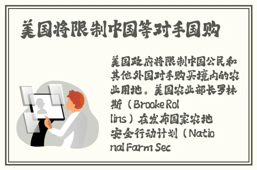野花视频在线观看最新1